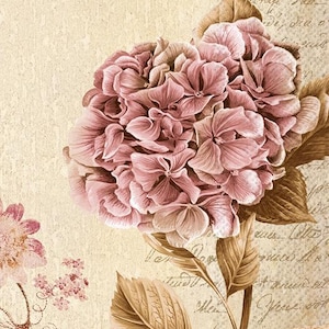 May include: A vintage-style illustration of a pink hydrangea flower with brown leaves and stem. The background is a beige color with faded script writing, creating a classic, romantic aesthetic.
