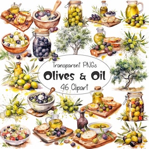 46 Olive e disegni di olio d'oliva in acquerello / Country Deli Catering / Grafica clipart digitale / Sfondo trasparente PNG