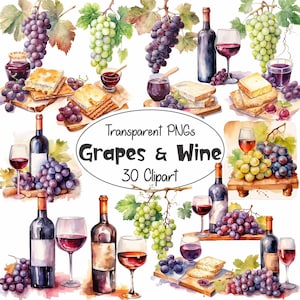 30 Trauben und Wein Designs in Aquarell | Landhaus Weingut Deli Gastronomie | Digitale Clipart-Grafik | PNG transparenten Hintergrund