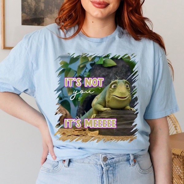 It's Not You It's Me Leo T-Shirt, Gift For Animation Movie Lover Shirt, Leo Shirt, Leo Fans T-Shirt, Animation T-Shirt, Movie shirt, Leo Tee