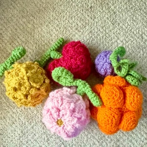 May include: A collection of colorful, crocheted fruit including a yellow pineapple, a red strawberry, a purple grape cluster, a pink flower, and an orange raspberry. Each piece has green stems and leaves.