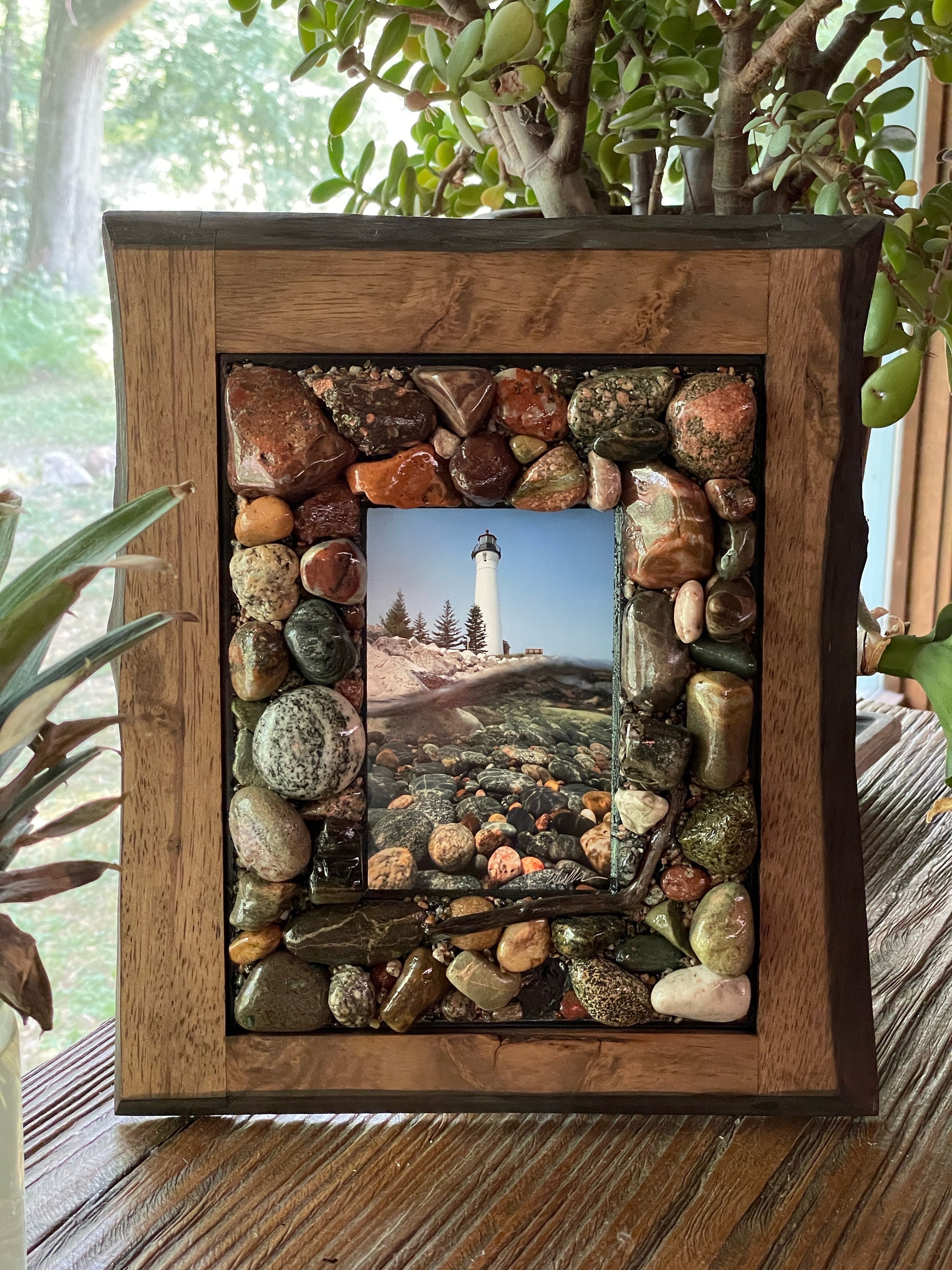 Great Lakes Rock Frame With Petoskey Stones and Other Fossils