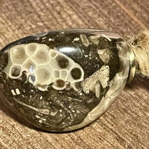 Petoskey Stone Fossil Soup bottle opener
