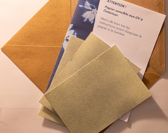 Sunprint pre-coated DIY cyanotype postcards