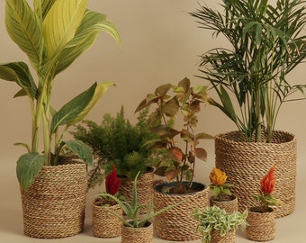 Handwoven Palm Leaf Baskets & Planters