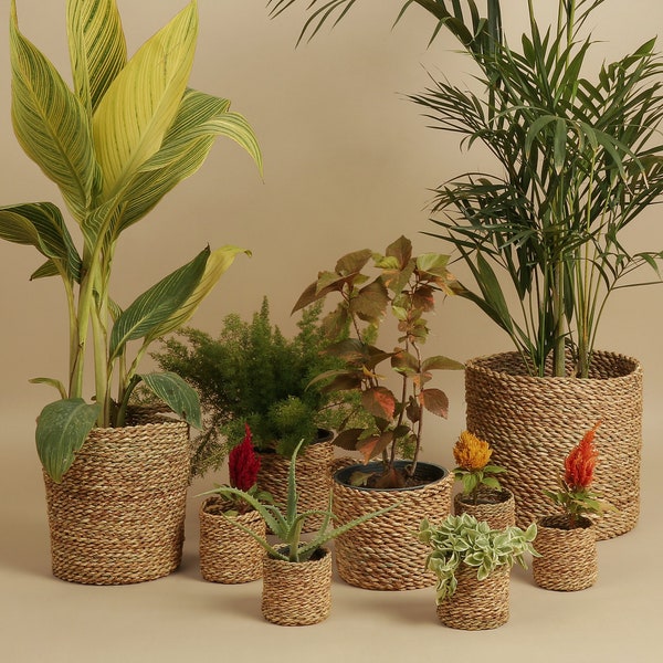 Handwoven Palm Leaf Baskets & Planters