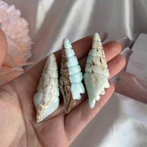 Puede incluir: Tres conchas de piedras preciosas talladas de diferentes tamaños, sostenidas en una mano. Las conchas tienen una combinación de colores azul claro y marrón con un diseño en espiral. El fondo es rosa y blanco suave y borroso.