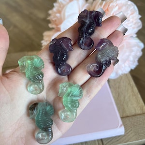 Fluorite Sea Horse Carving | Crystal Animal Carving Rainbow Fluorite Healing Mini Chakra Witchy Gift
