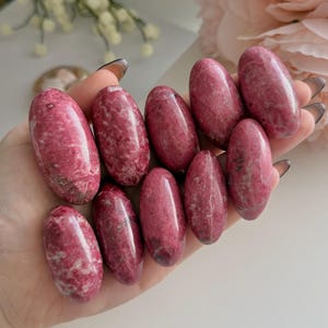 Peut inclure: Une collection de onze pierres polies de forme ovale, dans des tons de rose et de blanc. Les pierres sont tenues dans une main, révélant leur texture lisse et leurs motifs naturels. Fond floral.
