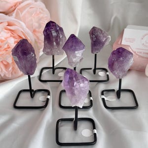 Könnte beinhalten: Sechs Amethyst-Kristalle auf schwarzen Metallständern. Die Kristalle sind in verschiedenen Violett- und Klar-Tönen gehalten. Die Ständer sind quadratisch und haben eine kleine runde Basis.