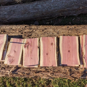 12" Planed Live Edge Eastern Red Cedar