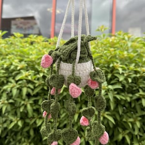 Crochet hanging Plant - Handmade Crochet - More styles in store!