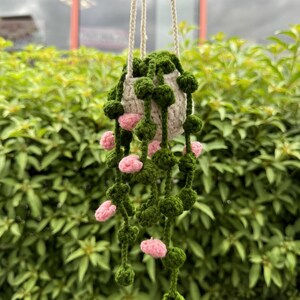 Crochet hanging Plant - Handmade Crochet - More styles in store!