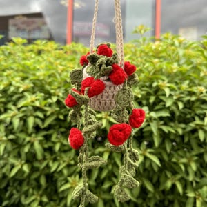 Crochet hanging Plant - Handmade Crochet - More styles in store!