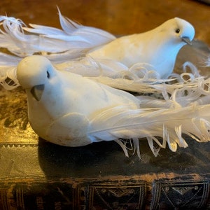 Easter Pair of Doves 5.5" Long Tailed Bird Decorations Lenten Peace Offering Tree Decoration Love Symbol Present