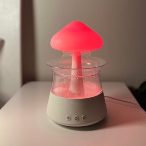 Rain Humidifier and Diffuser