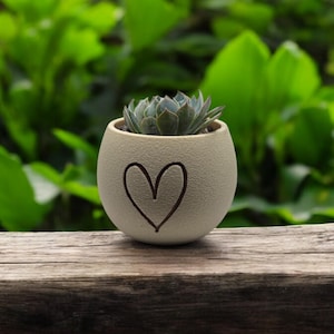 May include: A small succulent plant in a cream-colored ceramic pot with a heart design. The pot is sitting on a weathered wooden surface.