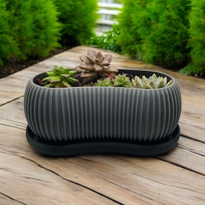 May include: A gray ceramic planter with a ribbed design and a matching saucer. The planter is filled with succulents.