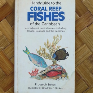 Handguide to the Coral Reef Fishes of the Caribbean by Joseph Stokes - 1980