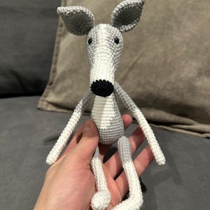 Whippet, Greyhound, Greyhound italiano: regalo ideale per gli amanti dei cani