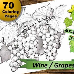70 wine / grapes coloring pages, coloring book, coloring pages, Collection 55, for children and adults, coloring book, relaxation