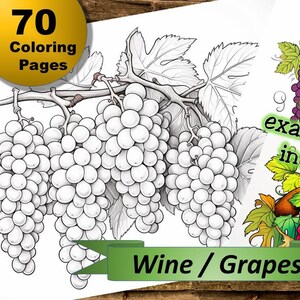 70 wine / grapes coloring pages, coloring book, coloring pages, Collection 54, for children and adults, coloring book, relaxation