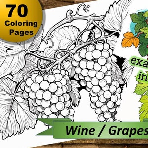70 wine / grapes coloring pages, coloring book, coloring pages, Collection 50, for children and adults, coloring book, relaxation