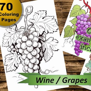 70 wine / grapes coloring pages, coloring book, coloring pages, Collection 47, for children and adults, coloring book, relaxation
