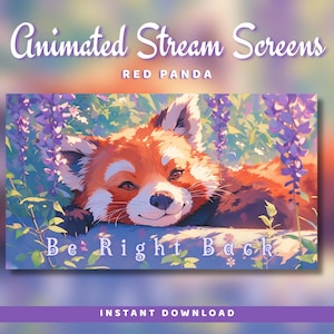 Écrans animés de diffusion en continu du panda roux : à partir de bientôt, BRB, fin (téléchargement numérique)
