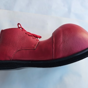 clown shoes sillysoles chose your collor