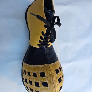 clown shoes sillysoles