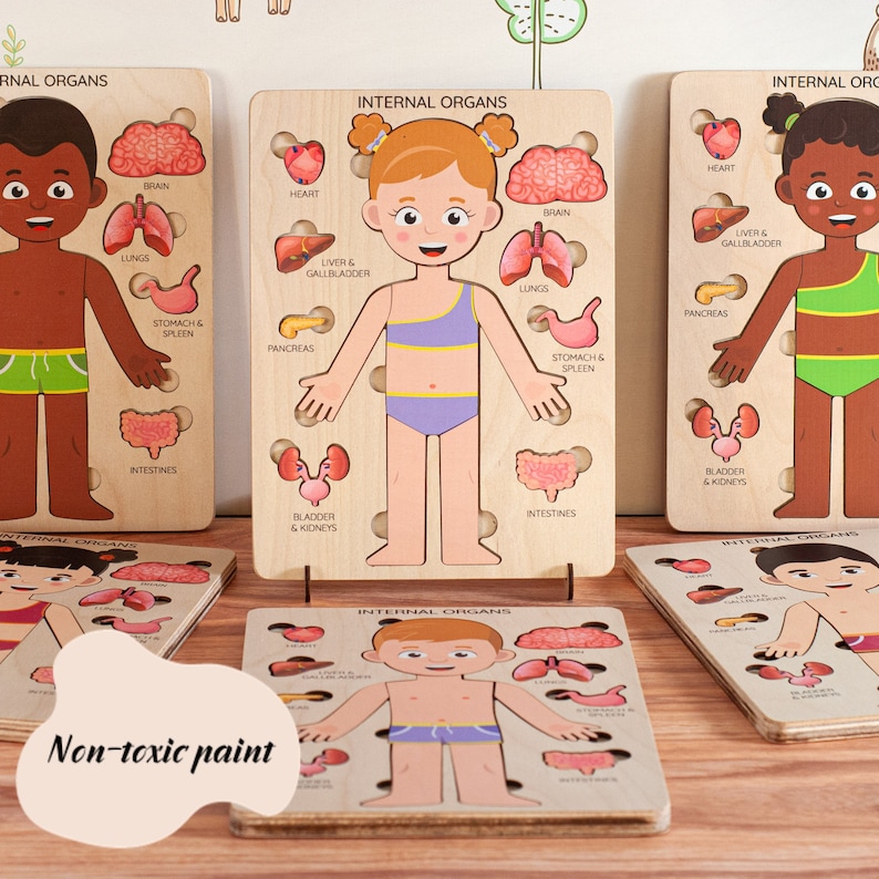 Montessori Human Body Puzzle: Educational Anatomy Toy for Kids - Etsy