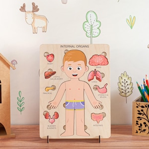 Menselijk lichaamspuzzel voor kinderen: montessori-leerspeelgoed anatomie, houten legpuzzel afbeelding 1