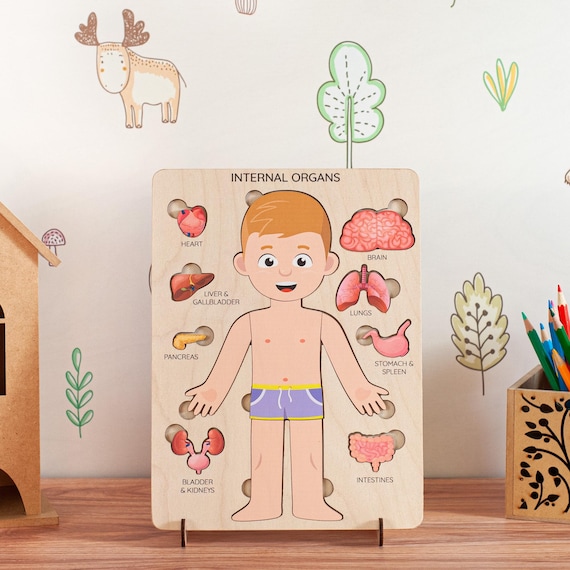 Human Body Puzzle for Kids: Montessori Anatomy Learning Toy, Wooden Jigsaw Puzzle
