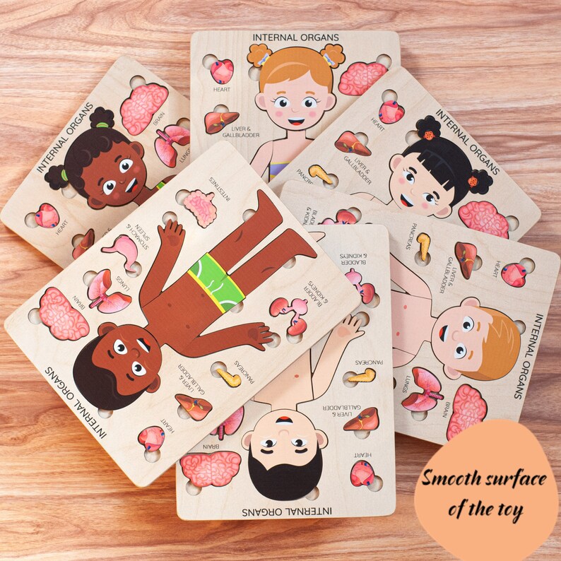 Educational Toys Montessori Puzzle Kids Preschool Anatomy Learning