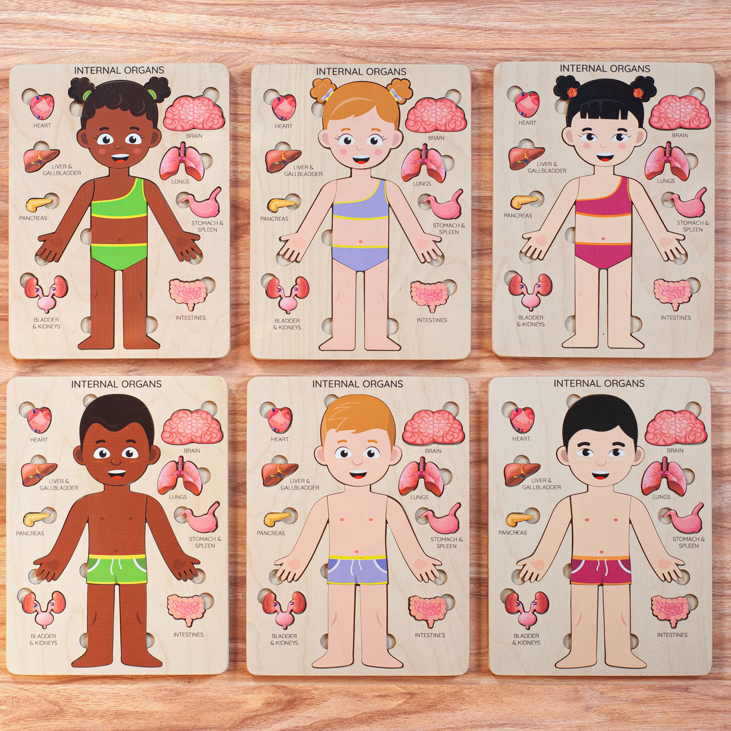 Montessori Anatomy Puzzle: Wooden Human Body Organ Toy - Etsy