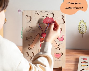 Anatomy Puzzle Montessori Wooden Human Organ Puzzle Internal Organs Learning Toy Preschool Puzzle Cognitive Skill Toy Baby Boy and Girl Gift
