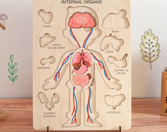 Montessori Human Body Puzzle: Educational Anatomy Toy for Kids