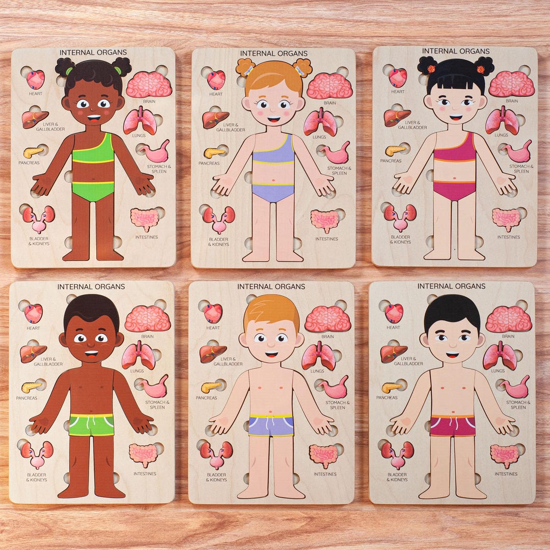 Anatomy Puzzle Montessori Human Body Puzzle for Kids Wood Baby Toy Kids ...
