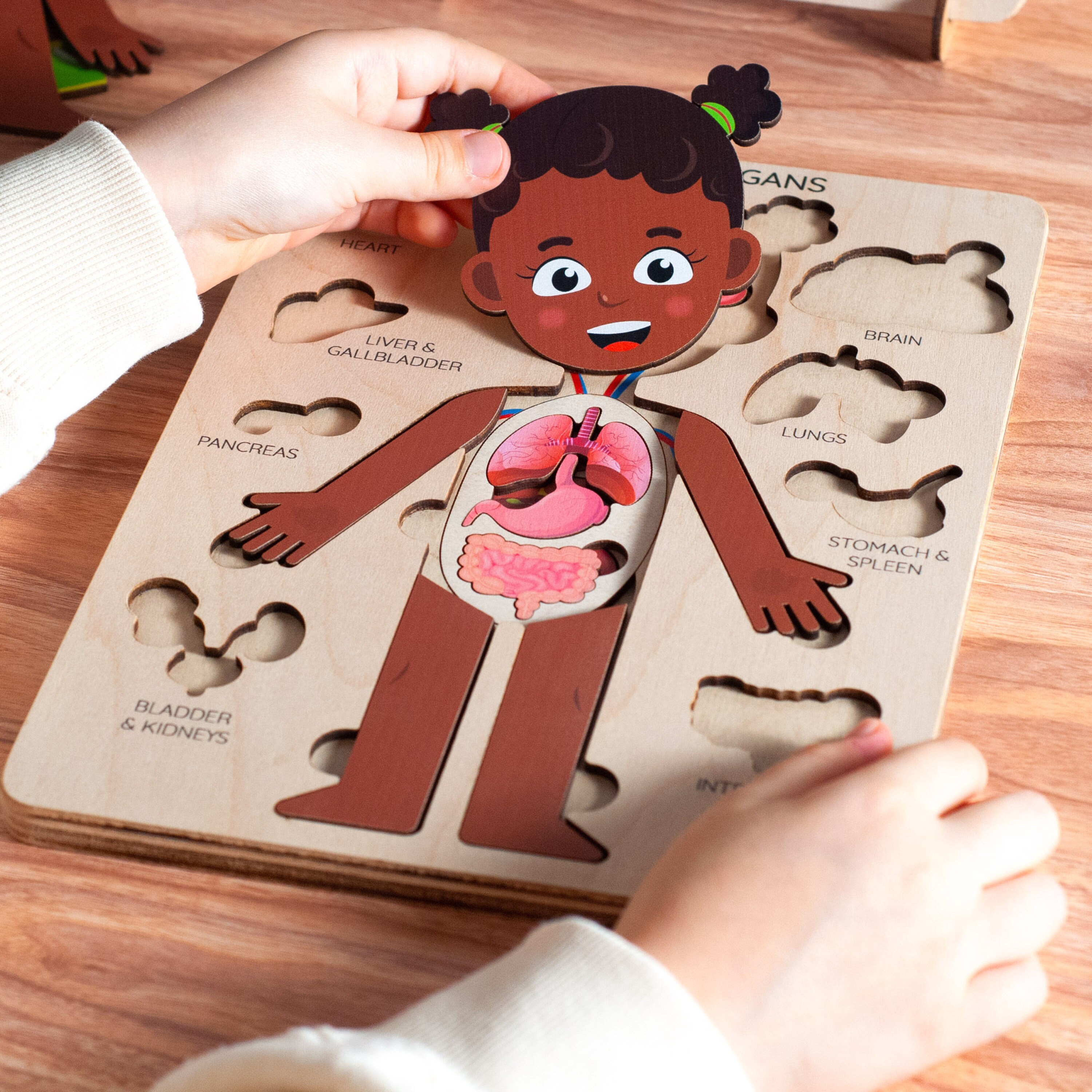 Anatomy Puzzle Montessori Human Body Parts Puzzle Preschool Curriculum Educational Toys 4 Year Old Gift Wooden Kid Toy Matching Puzzle