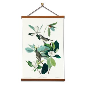 Warbling Flycatcher by John James Audubon Scientific Illustration Canvas Wall Print with Magnetic Hanger