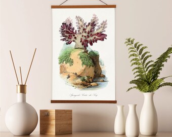 Spongode coral painting by Paul Gervais Canvas Wall Print with Magnetic Hanger Poster