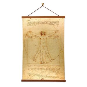 Vitruvian Man Leonardo Da Vinci Anatomy Print Canvas Wall Print with Magnetic Hanger
