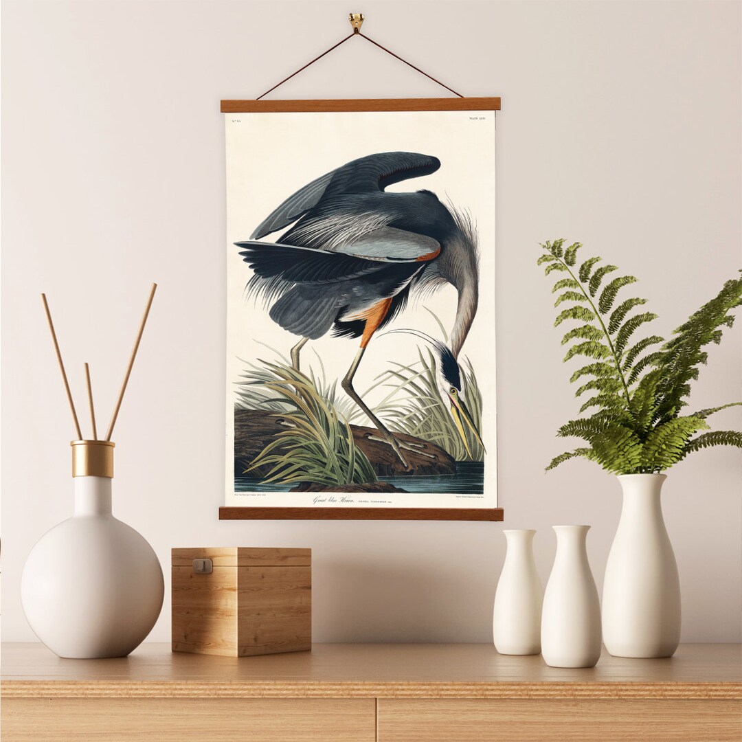 Great Blue Heron Wall Art W/ Frame John James Audubon Scientific