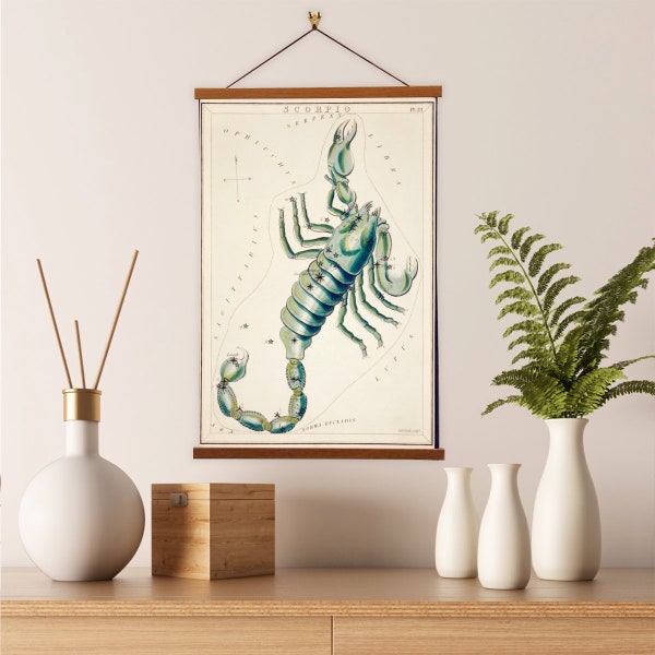 Scorpio by Sidney Hall Astrology Canvas - Astrology Print with Magnetic Hanger - Vintage Astrology Art Start Constellation Bedroom Decor