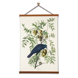 American Crow by John James Audubon Scientific Illustration Canvas Wall Print with Magnetic Hanger