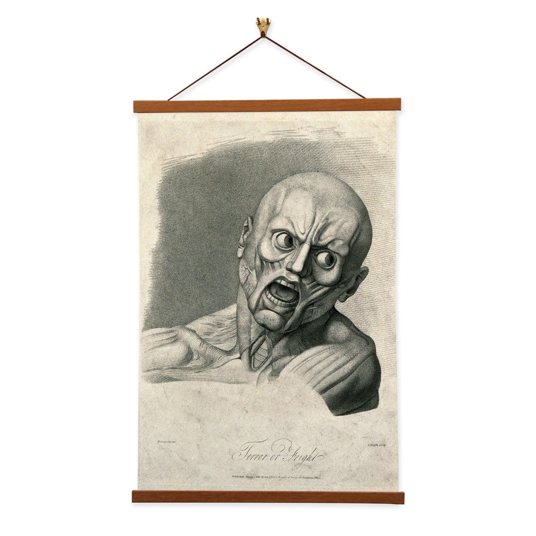 An Ã©corchÃ© Face Showing the Muscles Involved in the Expressi Wellcome ...