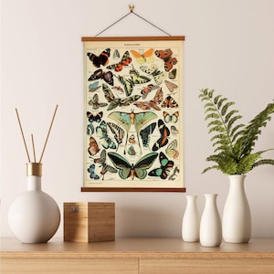 Papillons Butterflies by Adolphe Millot Scientific Illustration Canvas Wall Print - Adolphe Millot Print, Papillons butterfly Art