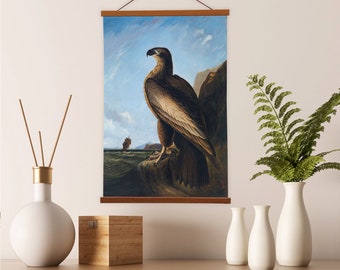 Audubon Washington Sea Eagle Canvas Print – Vintage Ornithology Art with Magnetic Hanger