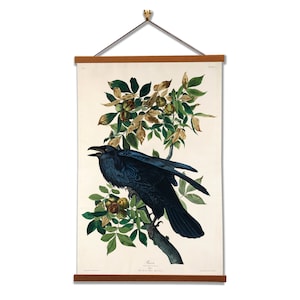 Raven by John James Audubon Scientific Illustration Canvas Wall Print with Magnetic Hanger